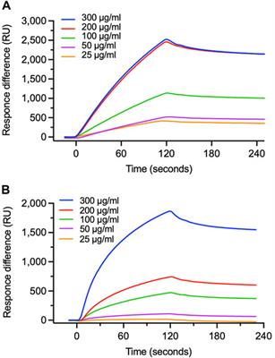 Antiviral effect of alkaloids-free Ephedra Herb extract on respiratory syncytial virus infection